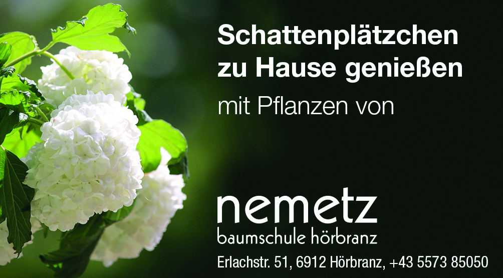 Schattenplätzchen zu Hause genießen - mit Pflanzen von Nemetz